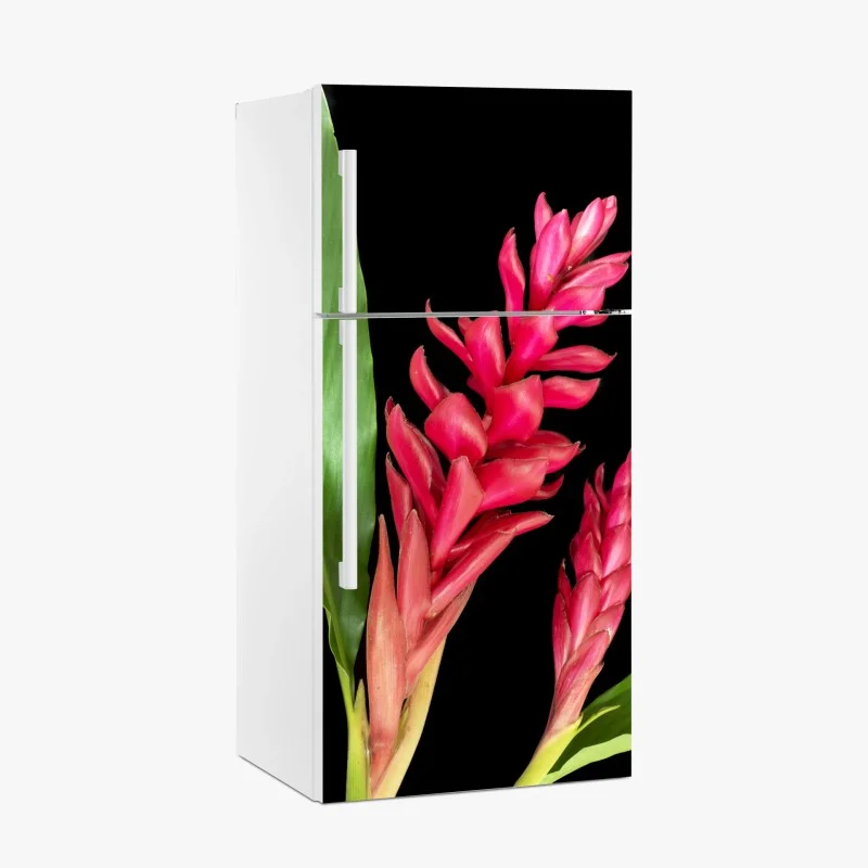 Biophil – Wallnifity®