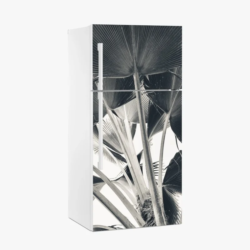 Blätter – Wallnifity®
