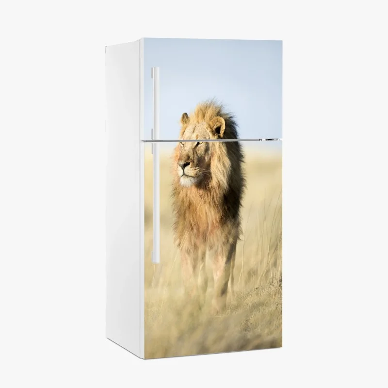 Tiere – Wallnifity®
