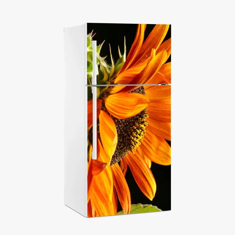 Biophil – Wallnifity®