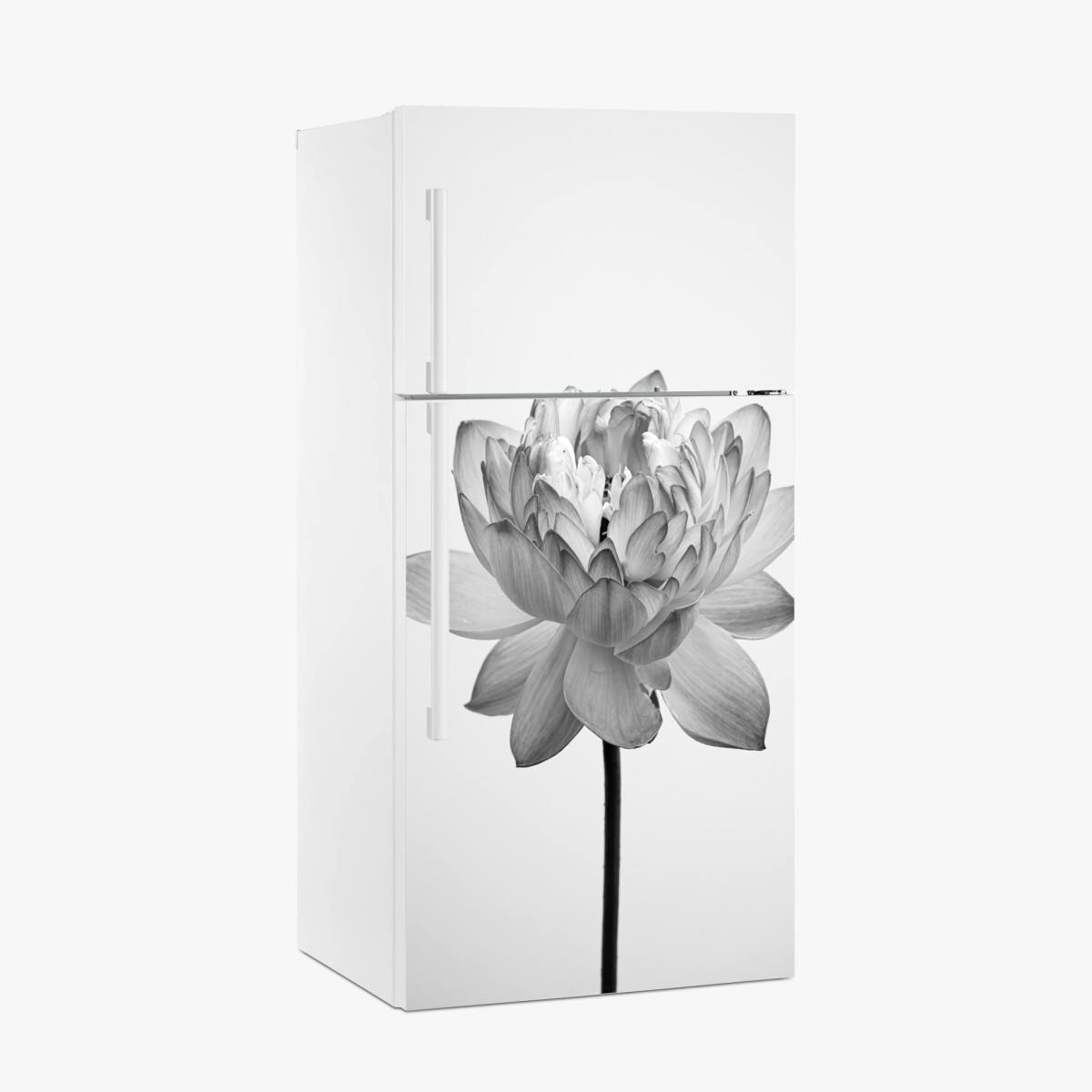 Kühlschrankaufkleber ruhevoller lotus in graustufen – Wallnifity®