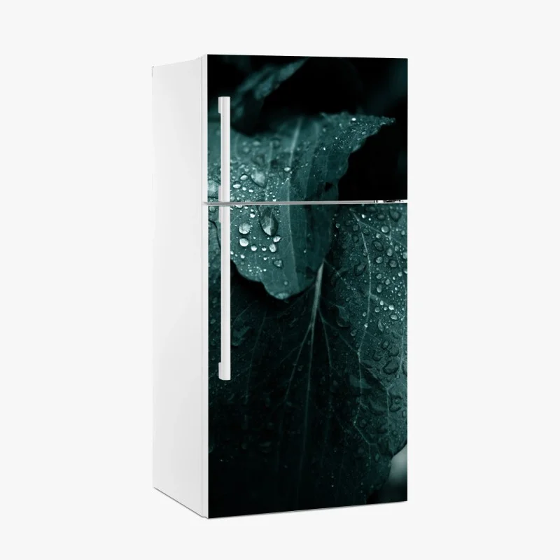 Blumen & Pflanzen – Wallnifity®