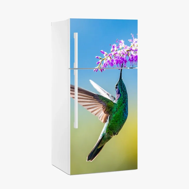 Vögel – Wallnifity®