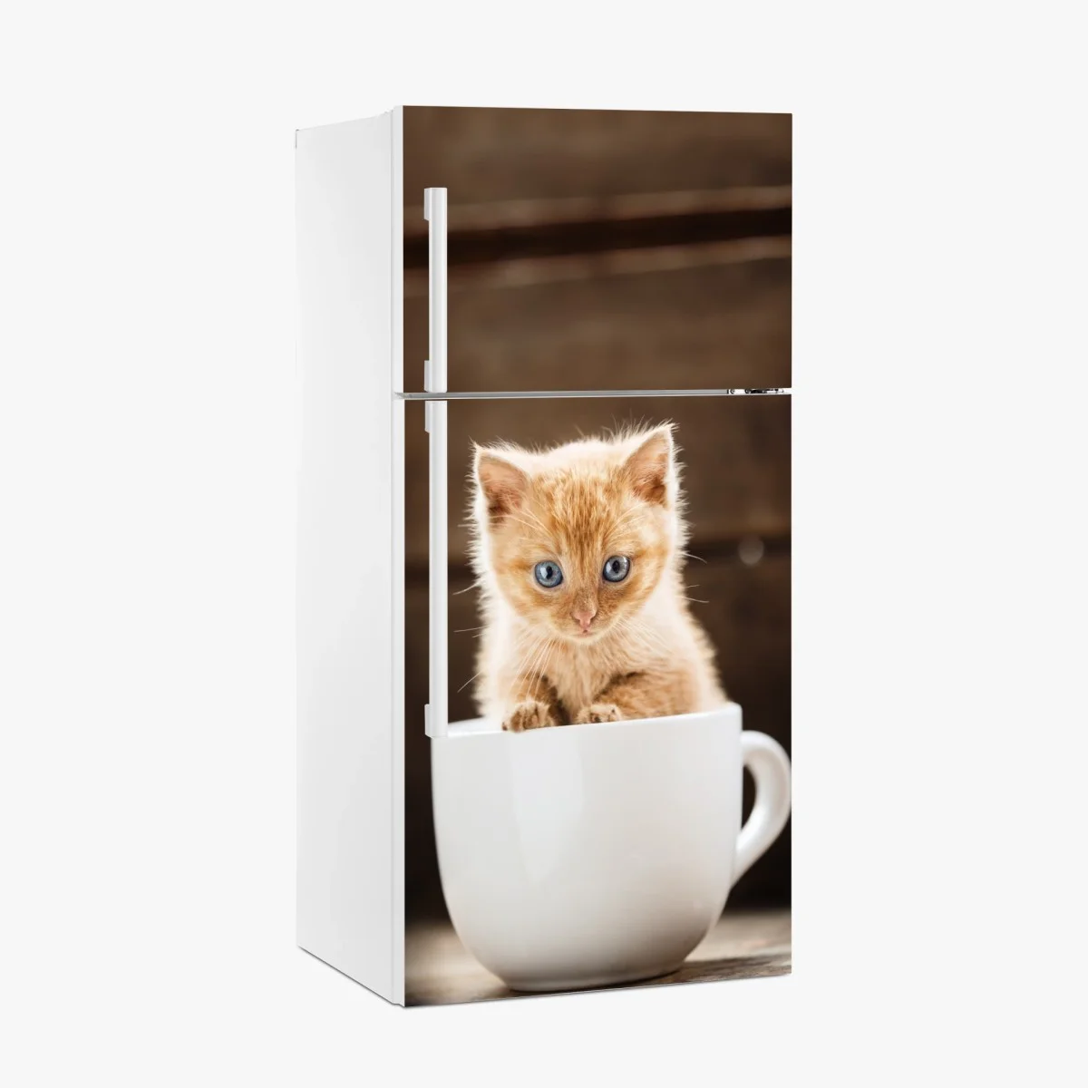 Kühlschrankaufkleber rötliches kätzchen in einer teetasse – Wallnifity® Kühlschrankaufkleber rötliches kätzchen in einer teetasse – Wallnifity®