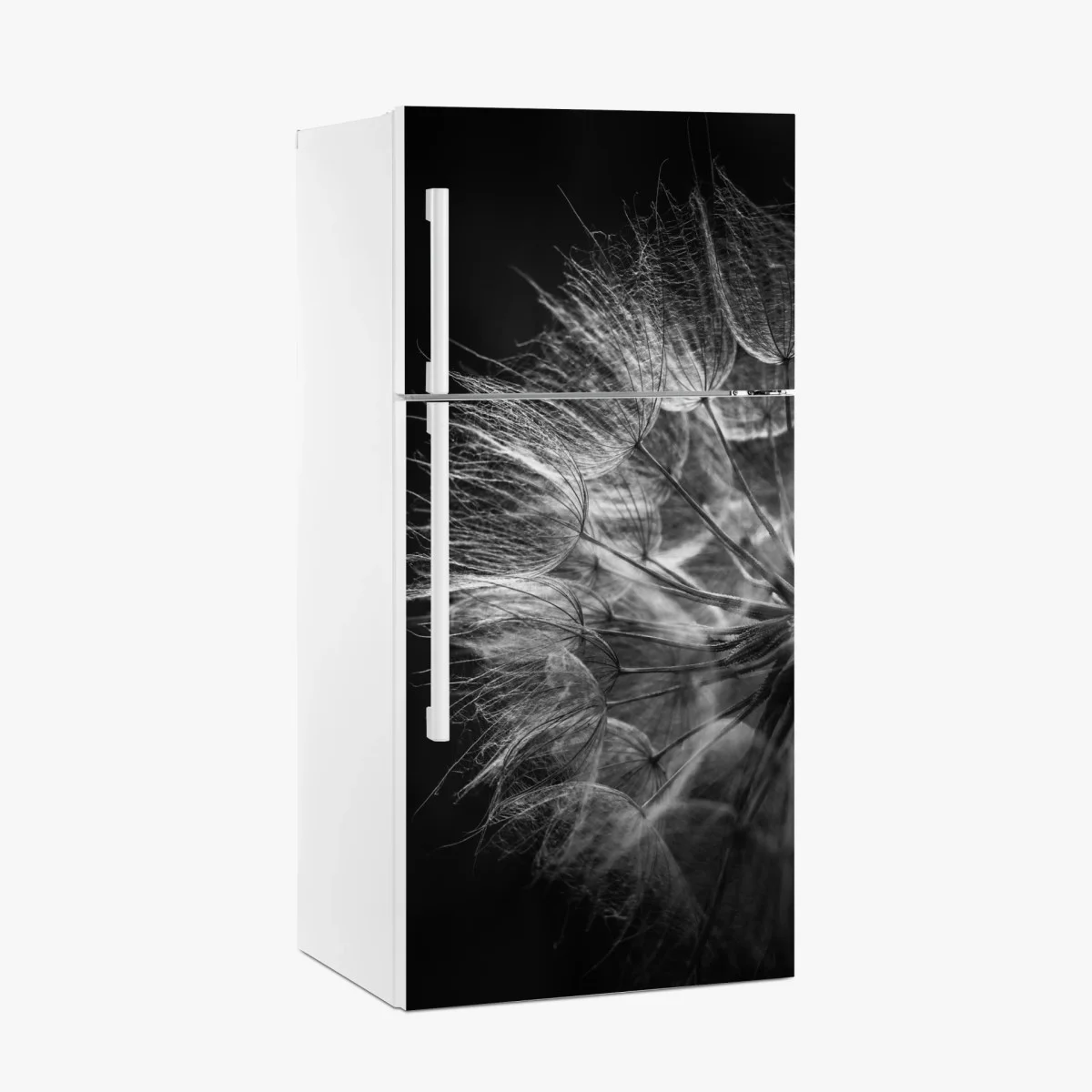 Kühlschrankaufkleber zarter löwenzahn in monochrom – Wallnifity® Kühlschrankaufkleber zarter löwenzahn in monochrom – Wallnifity®