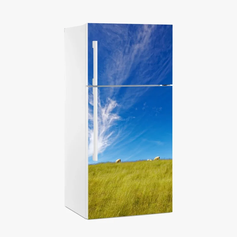Wiesen – Wallnifity®