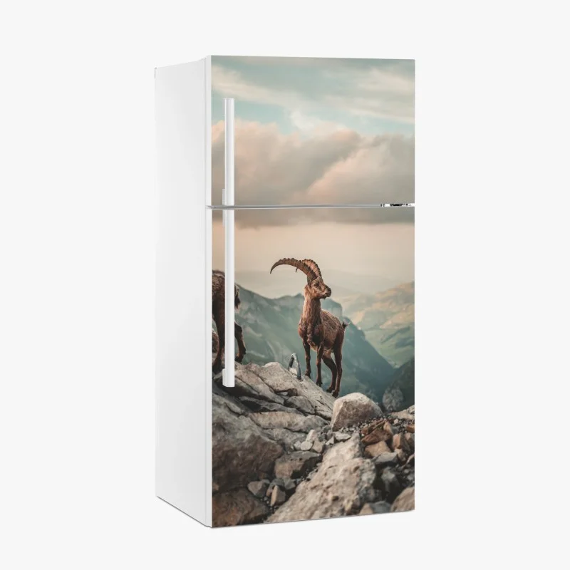 Kühlschrankaufkleber – Wallnifity®