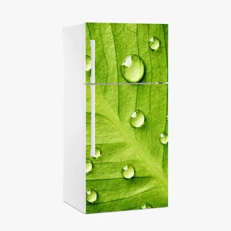 Kühlschrankaufkleber frisches grünes blatt mit wassertropfen – Wallnifity®