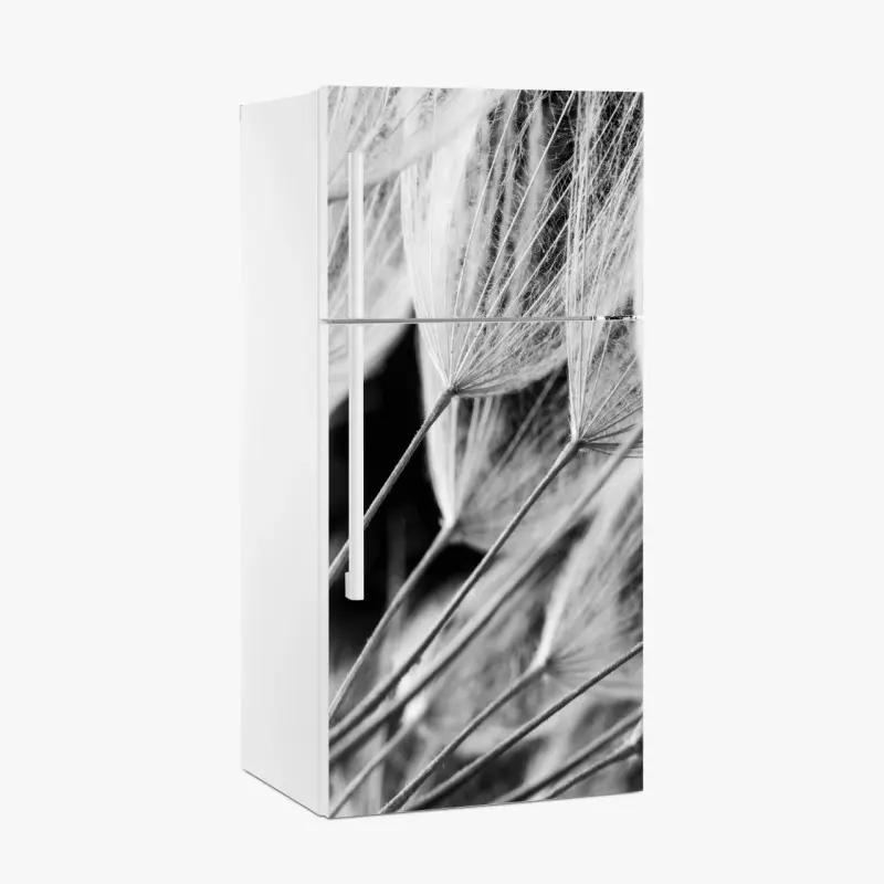 Wiesen – Wallnifity®