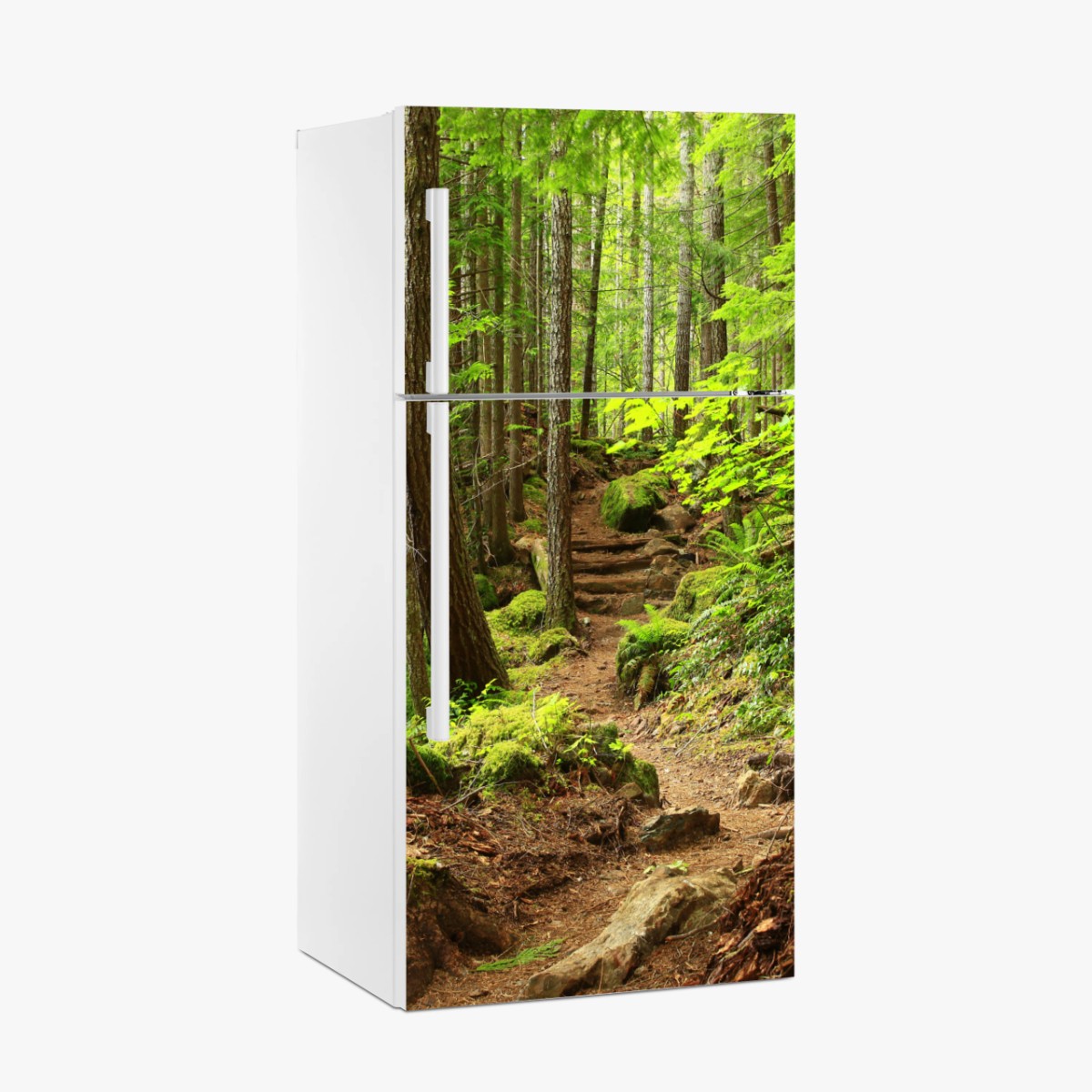 Kühlschrankaufkleber moosiger waldpfad – Wallnifity®
