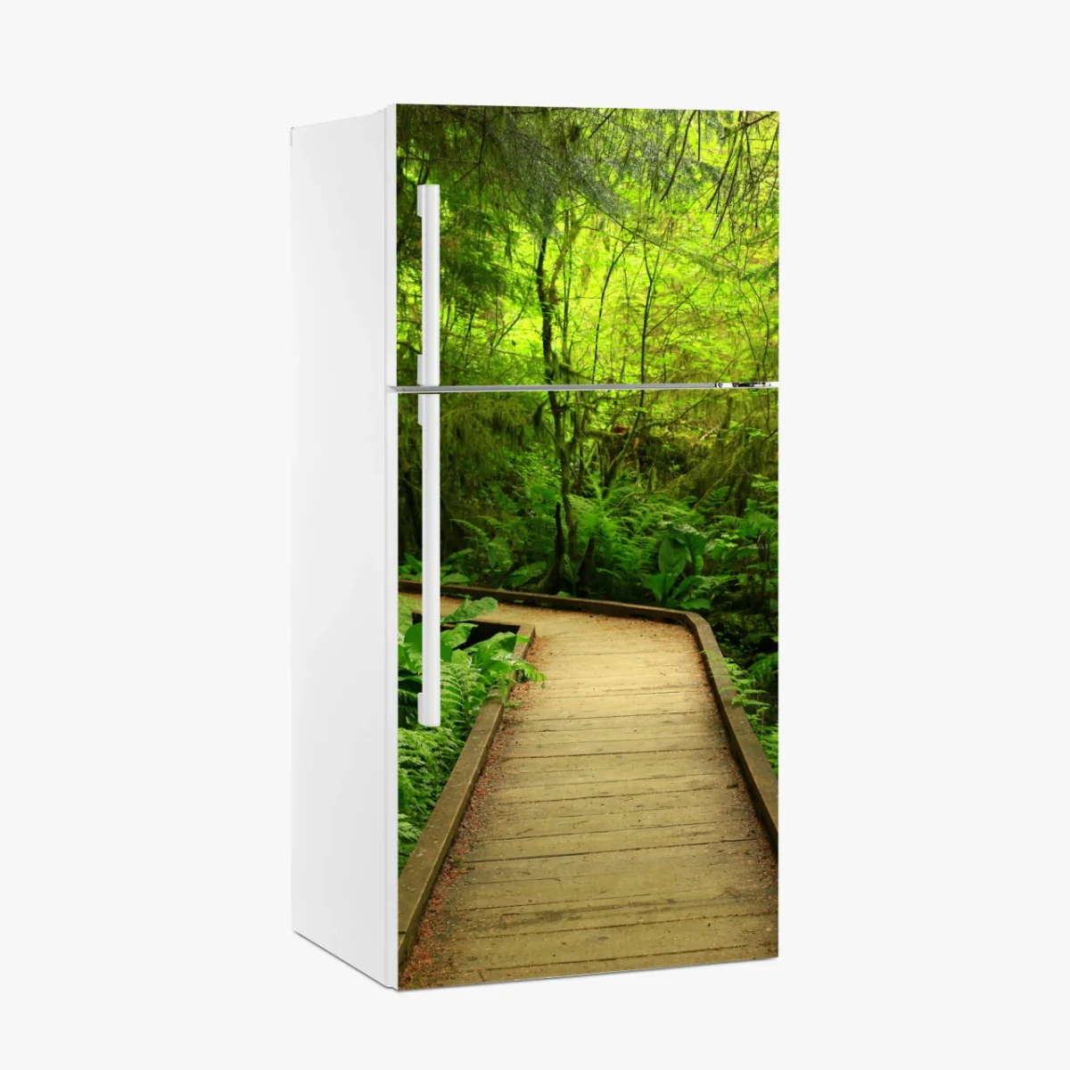 Kühlschrankaufkleber ruhiger grüner waldsteg – Wallnifity® Kühlschrankaufkleber ruhiger grüner waldsteg – Wallnifity®