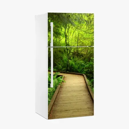 Kühlschrankaufkleber ruhiger grüner waldsteg – Wallnifity®