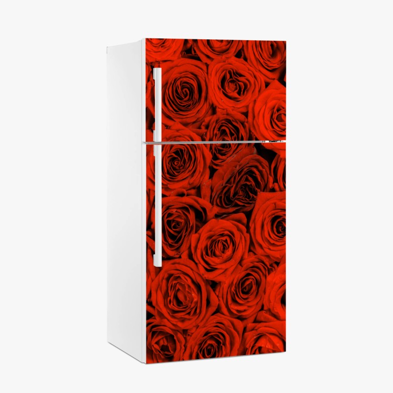 Boho – Wallnifity®