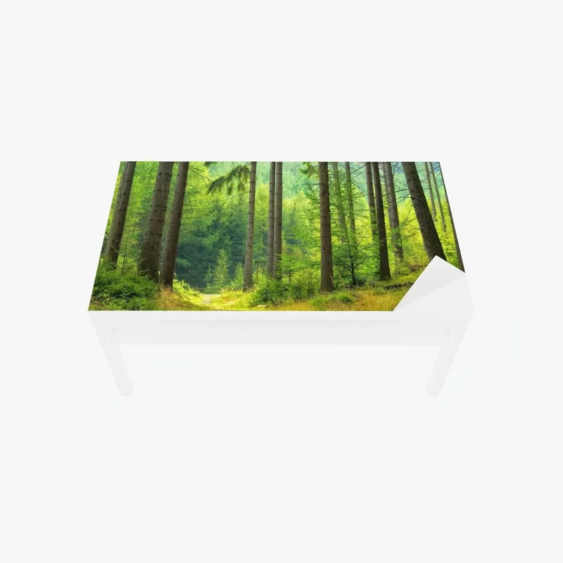 Tischaufkleber und Schreibtischaufkleber sonniger waldweg