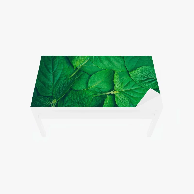 Blätter – Wallnifity®