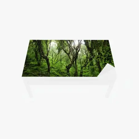 Tischaufkleber und Schreibtischaufkleber mystischer grüner wald – Wallnifity®