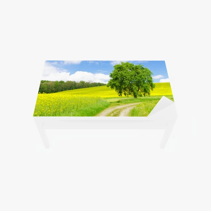 Tischaufkleber und Schreibtischaufkleber sonniger feldweg mit einsamem baum