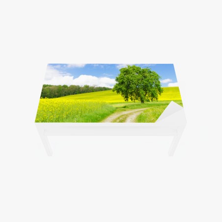 Tischaufkleber und Schreibtischaufkleber sonniger feldweg mit einsamem baum – Wallnifity®