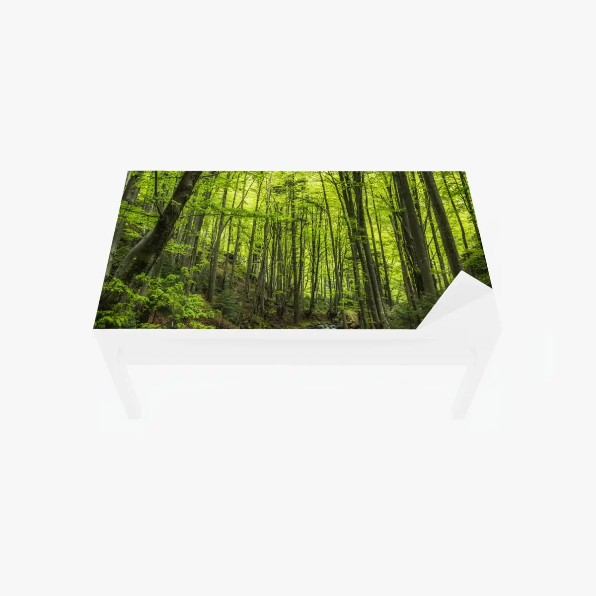 Tischaufkleber und Schreibtischaufkleber ruhiger grüner waldbach – Wallnifity®
