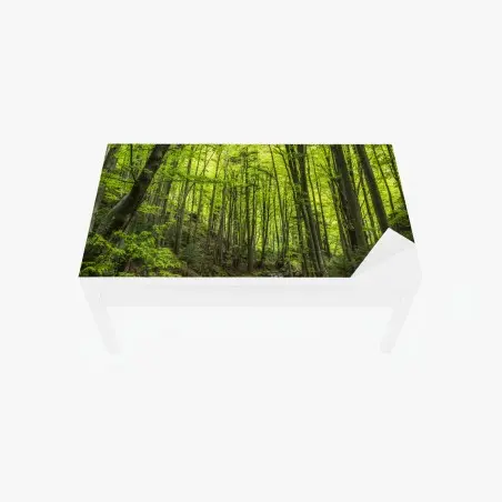Tischaufkleber und Schreibtischaufkleber ruhiger grüner waldbach – Wallnifity®
