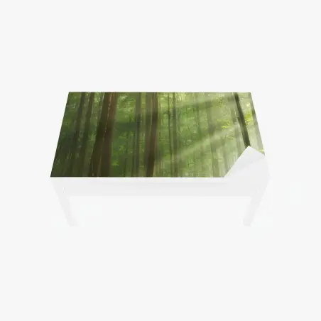 Tischaufkleber und Schreibtischaufkleber sonniger morgenwald – Wallnifity®