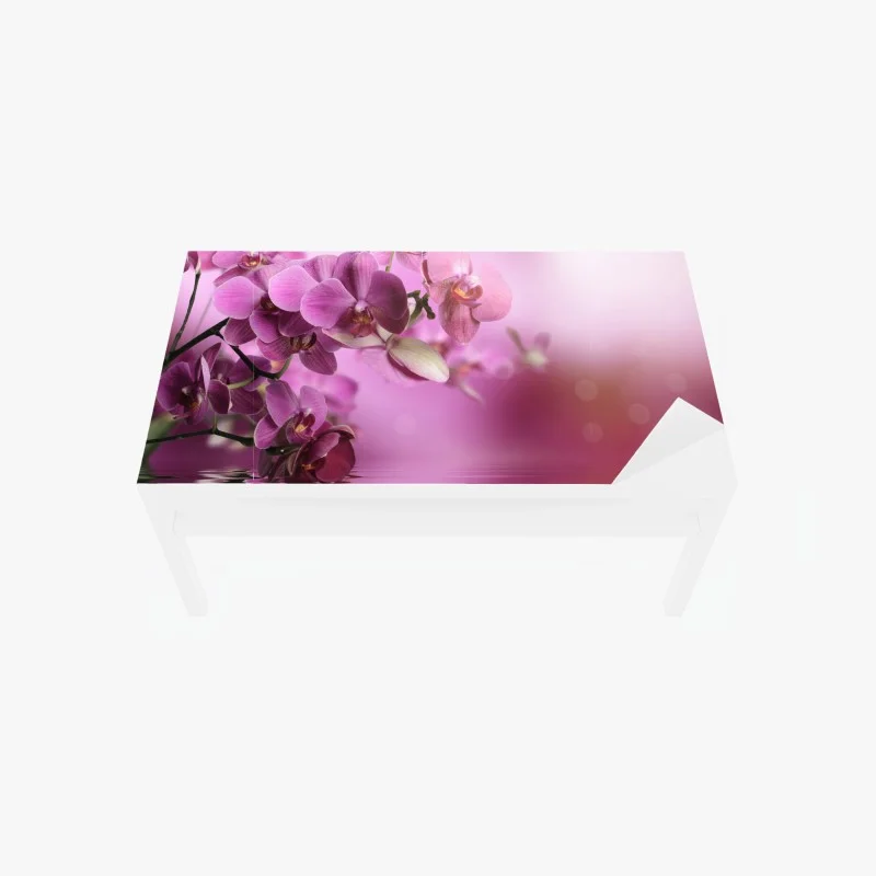 Schlafzimmer – Wallnifity®