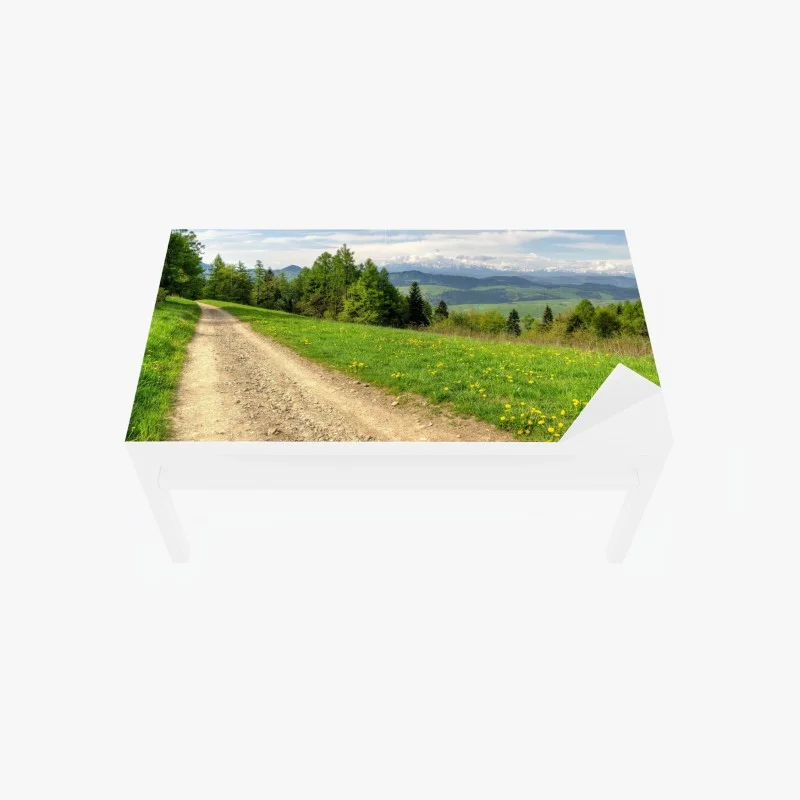 Tischaufkleber – Wallnifity®