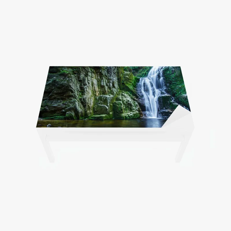 Biophil – Wallnifity®