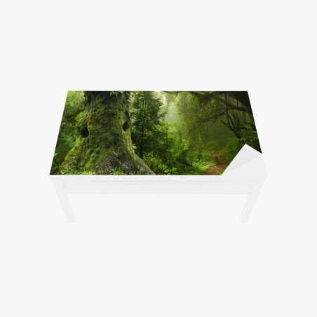 Tischaufkleber und Schreibtischaufkleber moosiger alter waldpfad – Wallnifity®