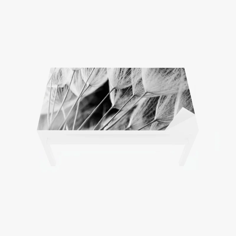 Minimalistisch – Wallnifity®