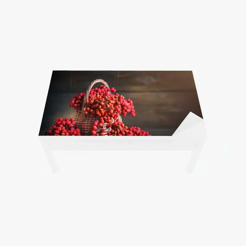 Essen & Trinken – Wallnifity®