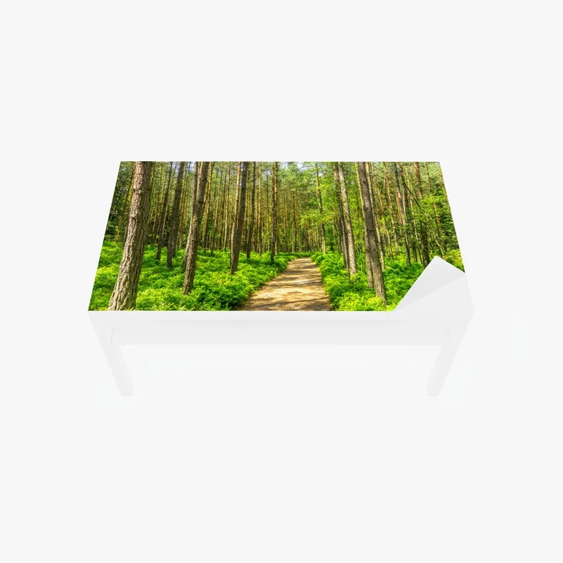 Wohnzimmer – Wallnifity®