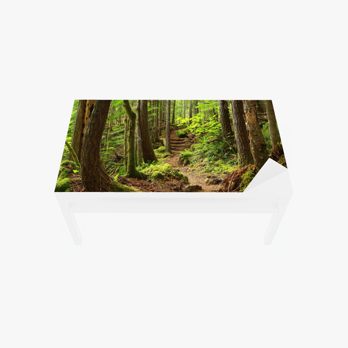 Tischaufkleber und Schreibtischaufkleber moosiger waldpfad – Wallnifity®