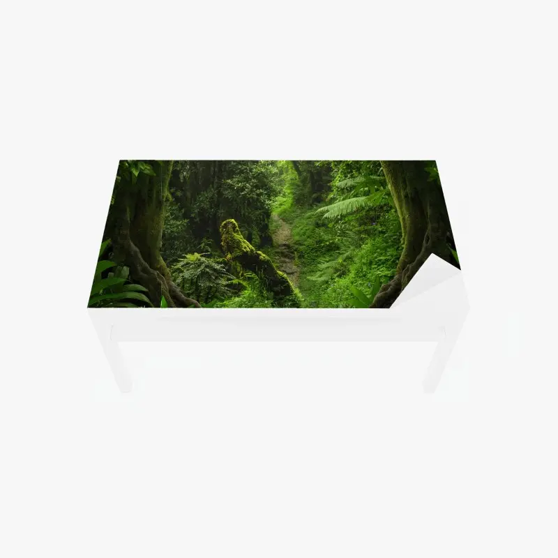 Natur – Wallnifity®