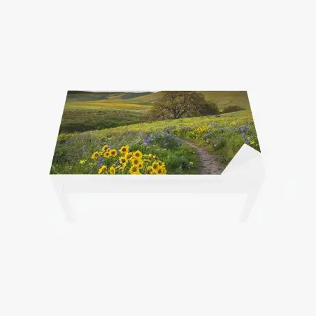 Tischaufkleber und Schreibtischaufkleber pfad durch blumenwiese mit eichenbaum – Wallnifity®