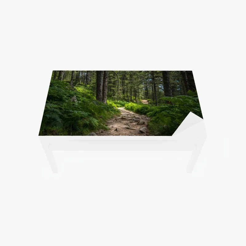 Art déco – Wallnifity®