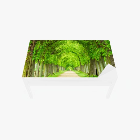 Tischaufkleber und Schreibtischaufkleber grüner baumtunnel – Wallnifity®