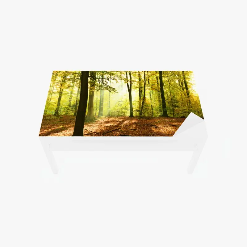 Biophil – Wallnifity®