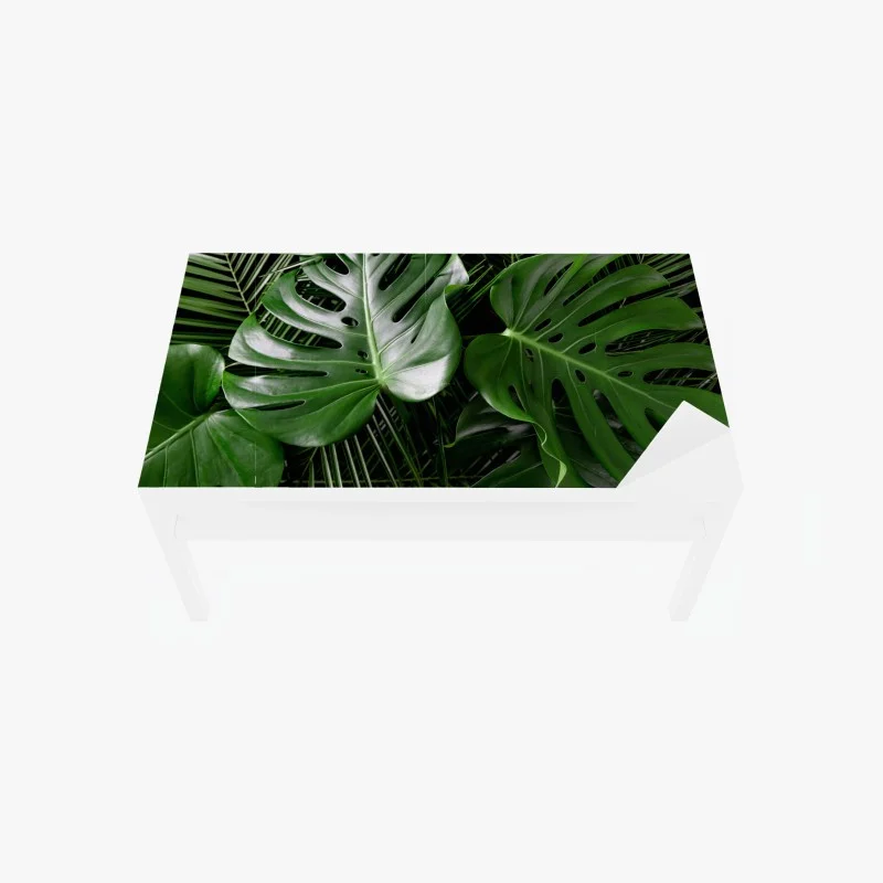 Dschungel – Wallnifity®