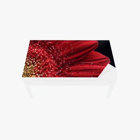 Tischaufkleber und Schreibtischaufkleber rote gerbera makro mit wassertropfen – Wallnifity®