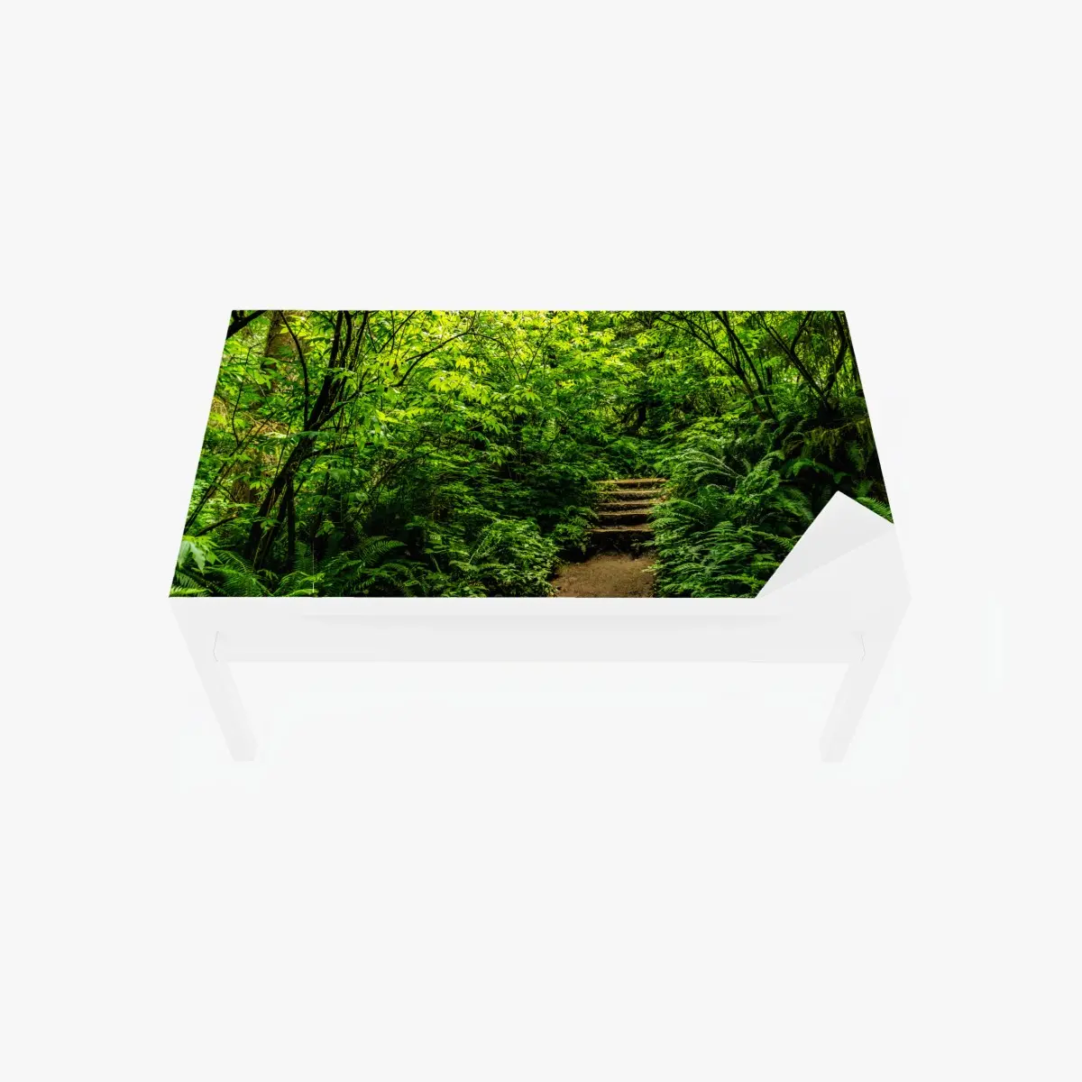 Tischaufkleber und Schreibtischaufkleber üppiger waldpfad – Wallnifity®