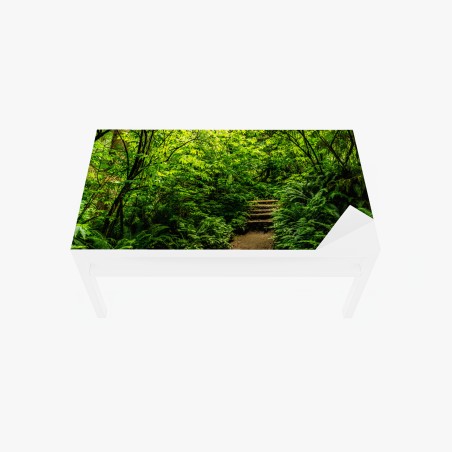 Tischaufkleber und Schreibtischaufkleber üppiger waldpfad – Wallnifity®