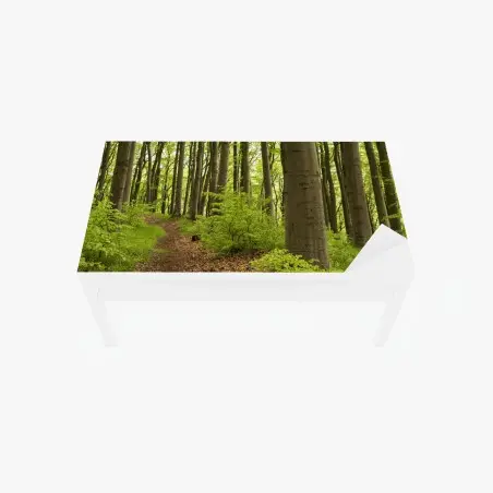 Tischaufkleber und Schreibtischaufkleber ruhiger grüner waldweg – Wallnifity®