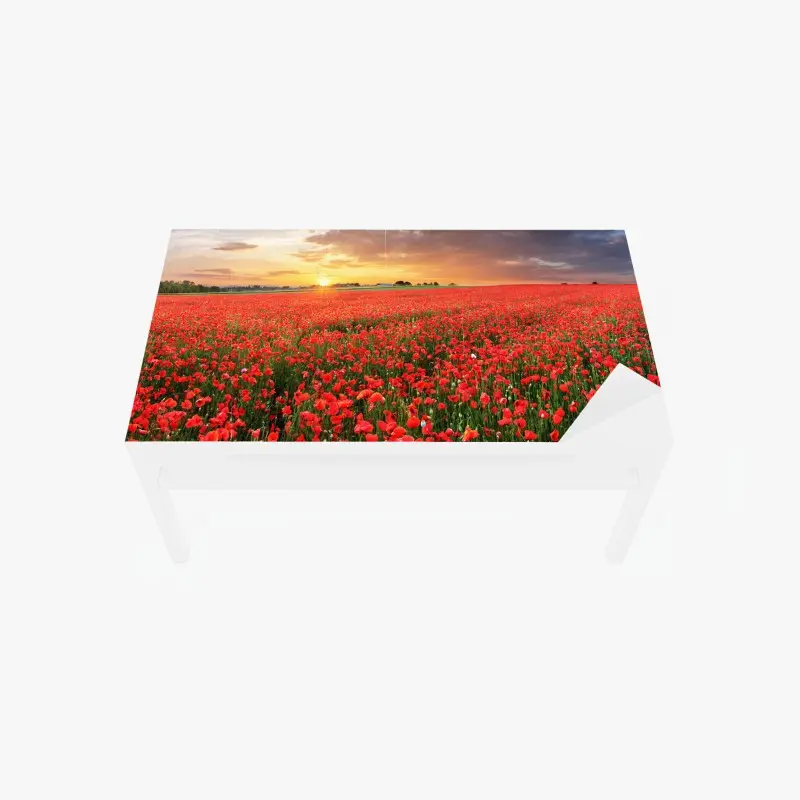 Wohnzimmer – Wallnifity®