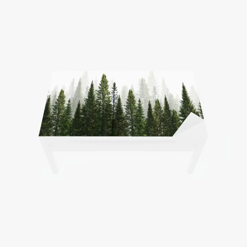 Biophil – Wallnifity®