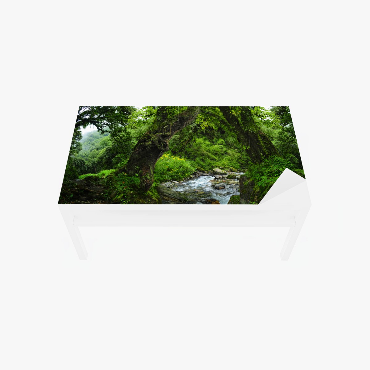 Tischaufkleber und Schreibtischaufkleber moosiger waldbach panorama – Wallnifity®
