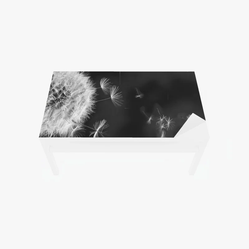 Minimalistisch – Wallnifity®