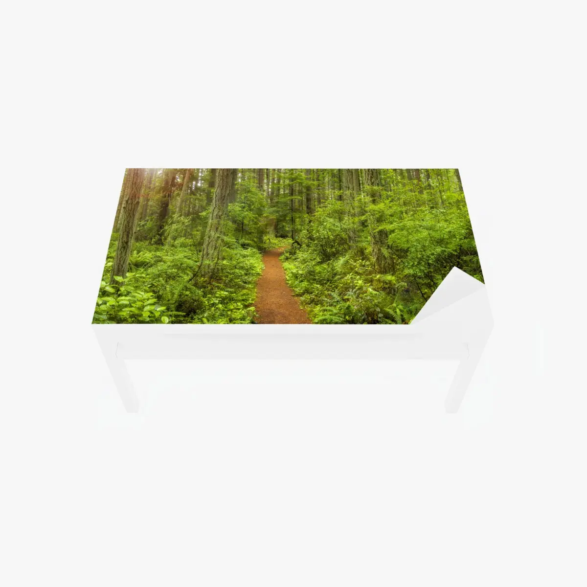 Tischaufkleber und Schreibtischaufkleber friedlicher waldpfad – Wallnifity®