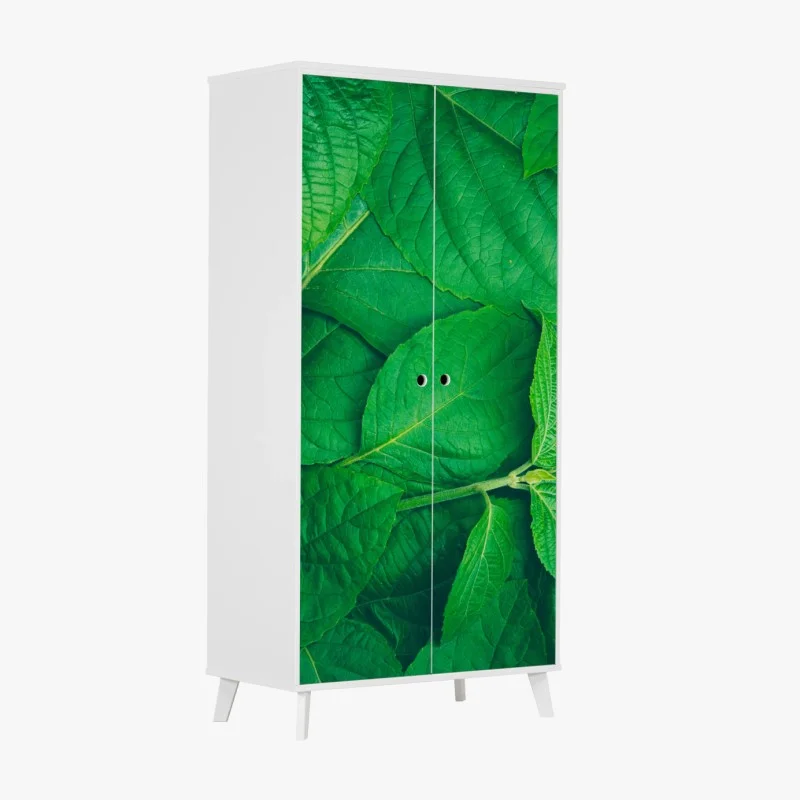 Blumen & Pflanzen – Wallnifity®