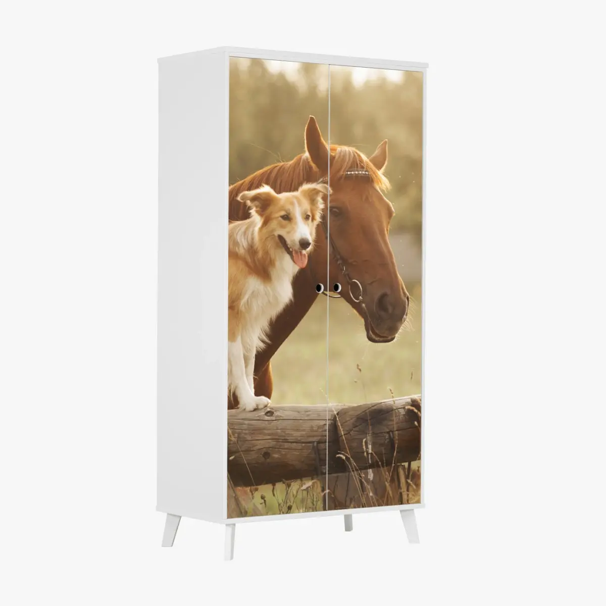 Schrankaufkleber sonnige gefährten: hund und pferd – Wallnifity®